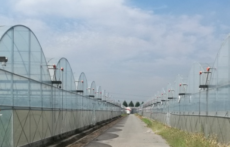 1623890458365684.png 6月17日发.png