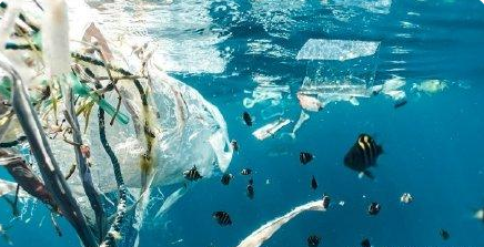 1635123713137929.png 10月25日发.png