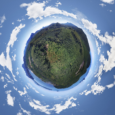 海南省企业家协会、海南省企业联合会副会长