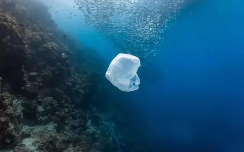 生态环境部：加强源头治理海洋垃圾 共建共享碧海蓝天洁净沙滩